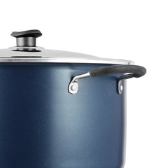 Zest Biryani Pot