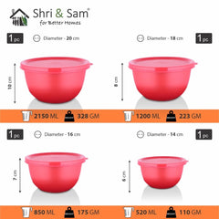 Stainless Steel 4 PCS Storage Bowl with Solid Lid Euro