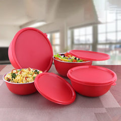 Stainless Steel 4 PCS Storage Bowl with Solid Lid Euro