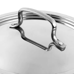 Platinum SAS Pro Extra Deep Tasla with lid ( Induction Friendly )