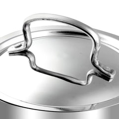 Vinod Stainless Steel Classique Deluxe Set (Induction Friendly)